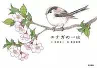 Long-tailed tit's life