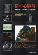 Cat Cardiology Clinical and Evidence Based Diagnostic and Treatment / Etienne Court