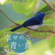 The Blue Bird of Happiness