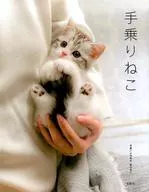 Apêndice) Gato de mão