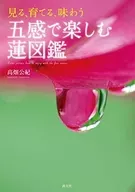 Lotus Guide for Viewing, Nurturing, and tasting