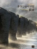 陶希維切川橋梁
