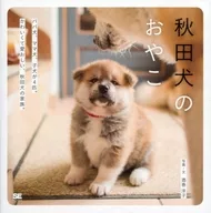 Perro Akita-inu no oyako