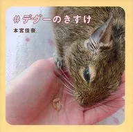 #デグーのきすけ