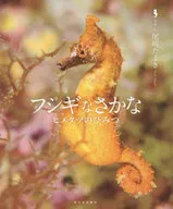 フシギなさかな