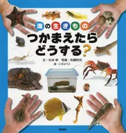 捉到海裏的生物後怎麽辦？/杉本干