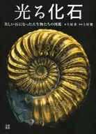 Un libro ilustrado de fósiles brillantes y paleontólogos en piedras preciosas