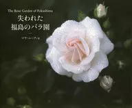 The Rose Garden of Fukushima : Maya Moore