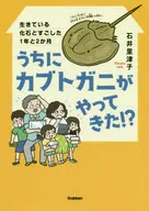 うちにカブトガニがやってきた!? 生きている化石とすごした1年と2か月