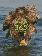 365 dias de aves selvagens em Sarobetsu, hokkaido