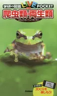Reptiles and amphibians