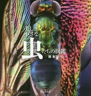 美麗小蟲的圖鑒