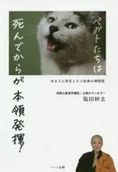 Yururi Bozu and Cat Nyorai's Zen Dialogue