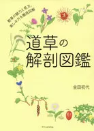 道草の解剖図鑑 / 金田初代
