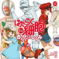 Picture book from Cells at Work!