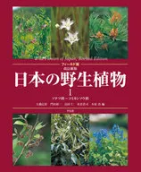 Field Revision New Japanese wild plant 1 Cycadaceae - Phyllanthaceae (1)