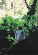 いつの日か花を咲かそうよ / 喜納昌吉