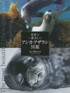 El libro ilustrado de leones marinos y focas más hermoso del mundo / Hiroya Minakuchi