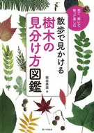 散步时看到的树木辨别方法图鉴