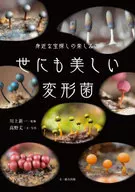 世にも美しい変形菌