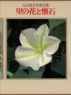 With Case) Taikichi Irie Photo Complete 4 (sato no Hana to Kaiseki)