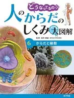 からだと細胞