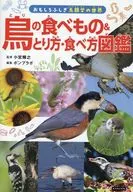 鳥の食べもの＆とり方・食べ方図鑑 / 小宮輝之