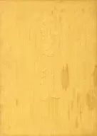 ケース付)佐藤蒼龍作品集