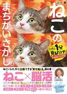 Mainichi Brain Activity Special "Searching for a Cat" 4