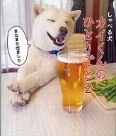 CADA UNO DE LOS PERROS QUE HABLAN KAI KUN 2