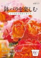 欣赏小玫瑰花，懂得如何修剪和培育/后藤绿