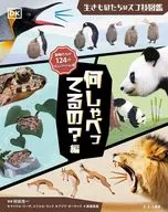 What are you talking about? Editor : Michael Leitch : メリエル Land