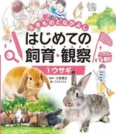 Rabbit / Teruyuki Komiya / Kodomo Club