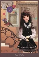 Super Dollfie Bible What's Super Dollar Fee?
