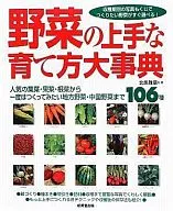Como cultivar vegetais Enciclopédia