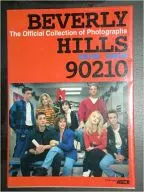 Beverly Hills 90210 White Paper on Youth for High School Students