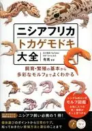 ニシアフリカトカゲモドキ大全