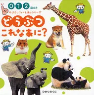 WHAT IS THIS?