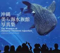 Okinawa Churaumi Aquarium photo collection