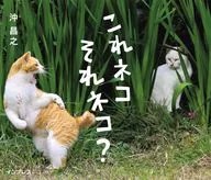 Is this a cat, is this a cat? / Masayuki Oki