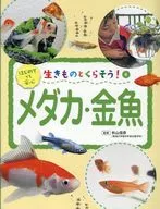 Killifish / Goldfish / Nobuhiko Akiyama