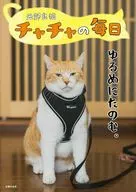 元野良猫チャチャの毎日