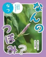 什么花蕾？Natsu/小池安比古/平石顺一