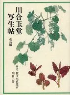 Kawai Gyokudo Shaseijo 