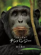 ”ジャングル” チンパンジー / 前川貴行