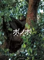 ボノボ / 前川貴行
