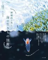 神秘而美丽的海洋生物图鉴/井田齐