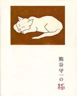 El gato de Shuichi Kumagai