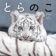 虎穴