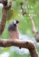 とことんブンチョウ、インコ・オウム / BIRDER編集部